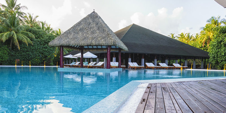 Techos de brezo y madera en jardines con piscina